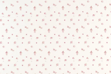 Abbeville Pink/Natural Floral Wallpapers At Laura Ashley