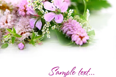 Floral Wallpapers 31086   Flowers Photo   Flowers