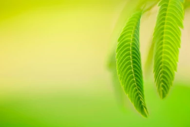 Nice And Beautiful Windows 8.1 Theme