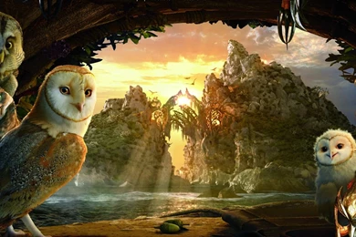 Kung Fu Panda And Nice Cartoons High Quality Desktop Wallpapers ...