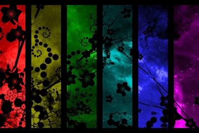 Flower Computer Wallpapers, Desktop Backgrounds