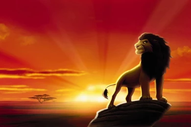 Images Lion King   Wallpapers HD Base