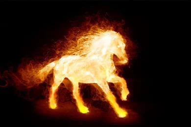 Download Fire Horse Animated Wallpapers