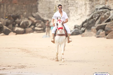 OMG Oh My God! Movie Wallpapers 42838   Glamsham