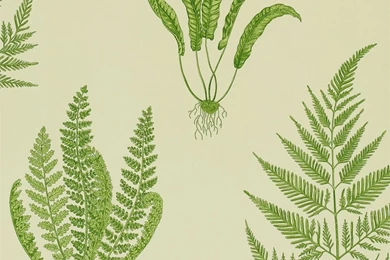 Sanderson   Traditional To Contemporary, High Quality Designer ...