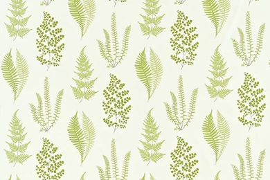 Angel Ferns Olive By Sanderson : Wallpapers Direct