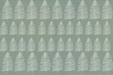 Forrest Fern Wallpapers   Emma janesowerby
