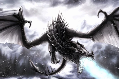 Black Dragon ! Computer Wallpapers, Desktop Backgrounds ...