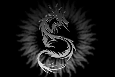 Tribal Dragon Wallpapers   Wallpapers Cave