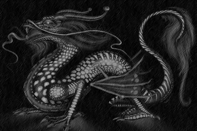 Favourite Black Dragons Wallpapers