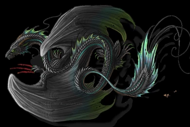 Black Dragon High Definition Wallpapers 10108   Amazing Wallpaperz