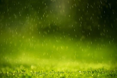 Best Raining Wallpaper Backgrounds  AtozWallpapers