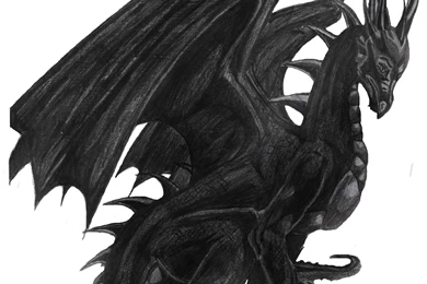 Black Dragon Backgrounds Wallpapers 10102   Amazing Wallpaperz