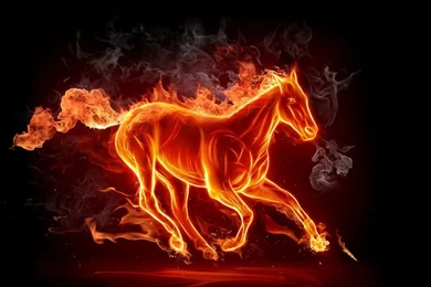 interesting images download