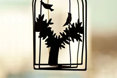 Download Latest iPhone 5 HD Wallpapers Bundle