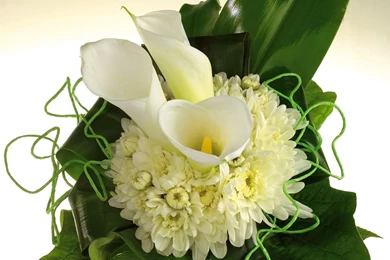 Interesting Bridal Bouquet Widescreen Wallpapers