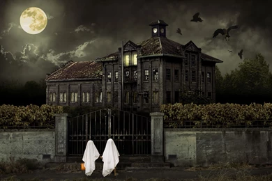 Halloween Trick Or Treat Wallpapers And Images   Wallpapers ...