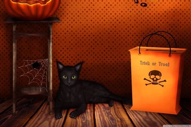 Halloween Trick Or Treat HD Desktop Wallpapers : High Definition ...