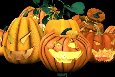 Trick or Treat   Halloween Wallpapers (24469775)   Fanpop