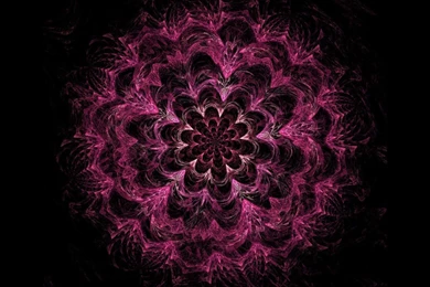 Abstract Flowers Pink Fractals Wallpapers