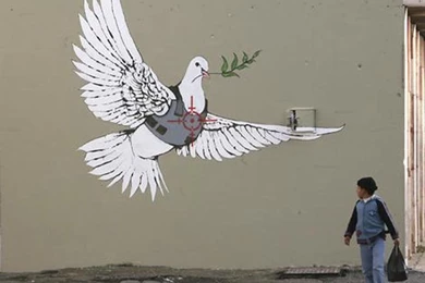 Banksy Graffiti Wallpaper Dove of Peace for Palestine