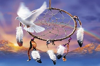 PEACE DOVE DREAMCATCHER WALLPAPER   (