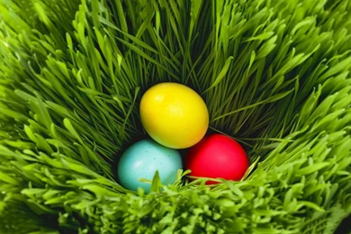 Holidays Easter Wallpapers Top Wallpapers New Wallpapers Champagne ...
