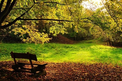 A Collection Of Awesome Places And Strange Things   Gallery ...