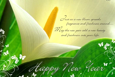 Best New Year Wallpapers