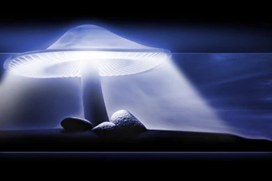 Wallpapers > 3D Wallpapers Desktop > 3D WALLPAPER DESKTOP MAGIC ...