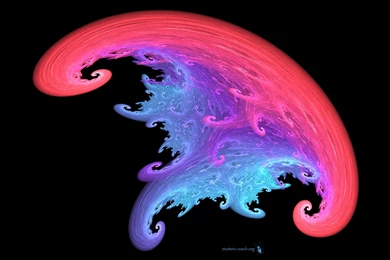 Magic Mushroom 19 Wallpapers By Elizabeth