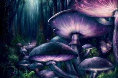 Mushrooms   DeviantArt