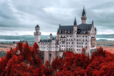 Neuschwanstein Castle in Fall 1920x1200.jpg