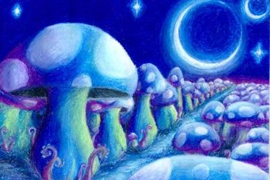 Magic Mushrooms By AndonnastY On DeviantArt