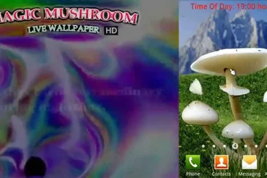 Magic Mushrooms Live Wallpapers HD   YouTube