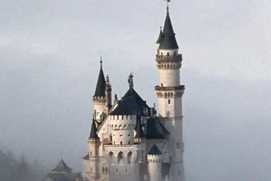 Neuschwanstein Castle iPhone 5 Wallpapers (640x1136)