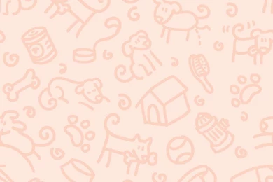 Pattering Paws Dog Rescue