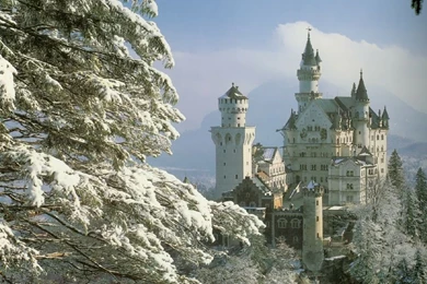 Other: Neuschwanstein Castle Tree Snow Clouds Bavaria Germany ...