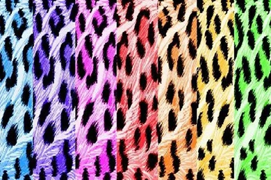Gallery For   Colorful Leopard Print Wallpapers