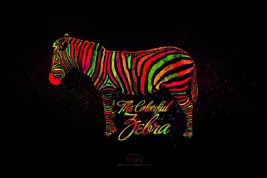 WALLPAPER THE COLORFUL ZEBRA BY H2SSPROD By H2SSPROD On DeviantArt