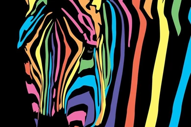Rainbow Zebra By Jasminebrione On DeviantArt