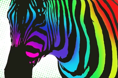ZebrasWithColor: WALLPAPERS!!!!