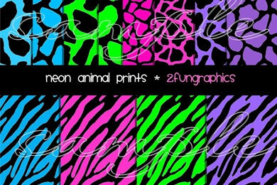 Gallery For   Bright Neon Zebra Wallpapers