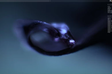 CrunchBang 11 (Waldorf)   The Robotic Frog