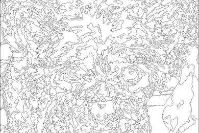 Georgia Price « Metaphors And Remedies For The Walk