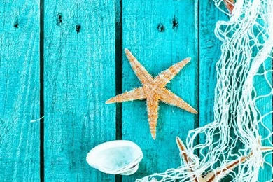 Summer Wallpapers On Pinterest