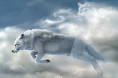 Best Wallpapers & Pictures: World Best HD Wallpapers