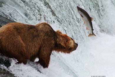 The National Parks: America's Best Idea: Download Wallpapers