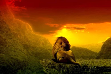 Rasta Color Wallpapers   500 Collection HD Wallpapers