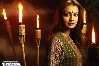 Dia Mirza High Resolution Image 12079   Glamsham.